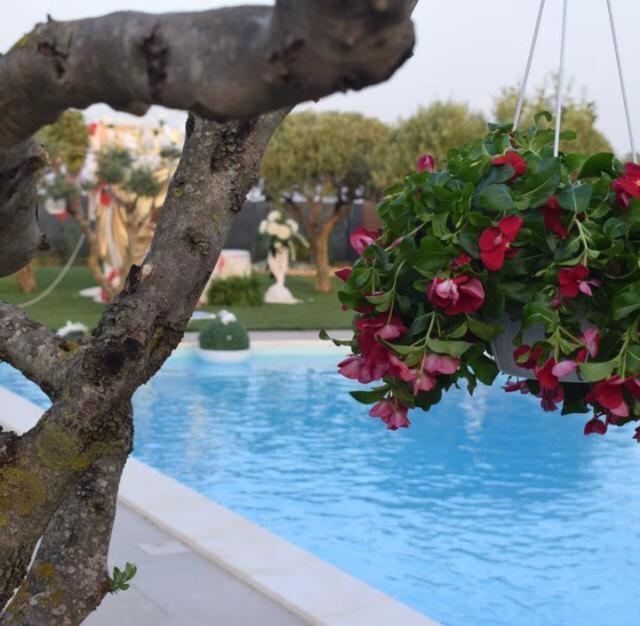 B&B Villa Antonella Piazza Armerina Kültér fotó