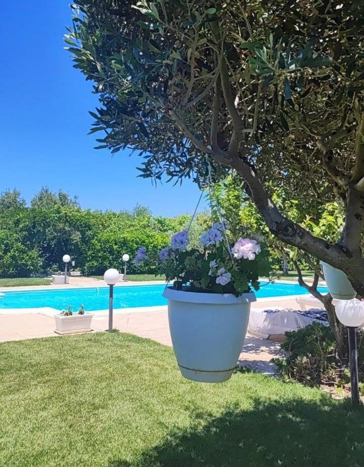 B&B Villa Antonella Piazza Armerina Kültér fotó